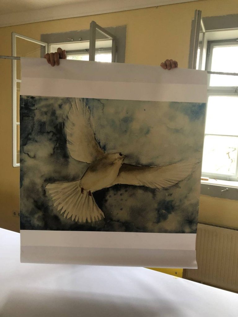 Taube von Sandra Pietschmann aus dem Aquarellkurs mit Cosima Göpfert