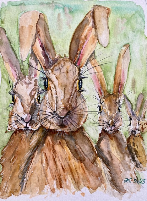 Hasen, Aquarell Ute Schuchardt