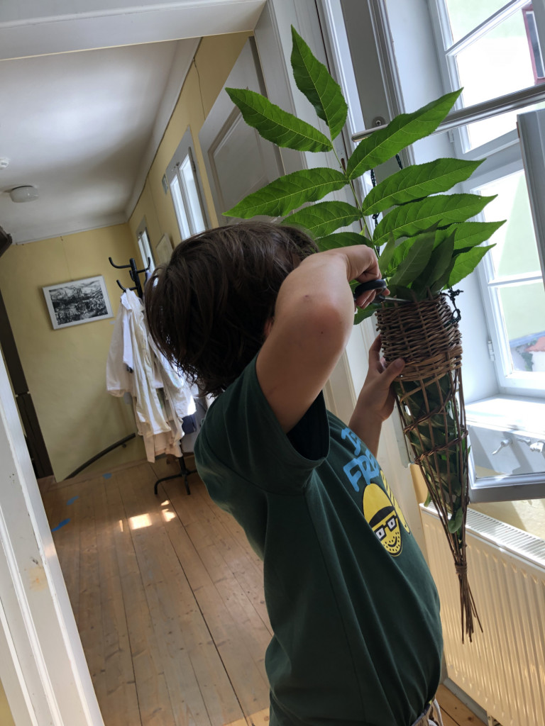 Ferienkurs Korbflechten