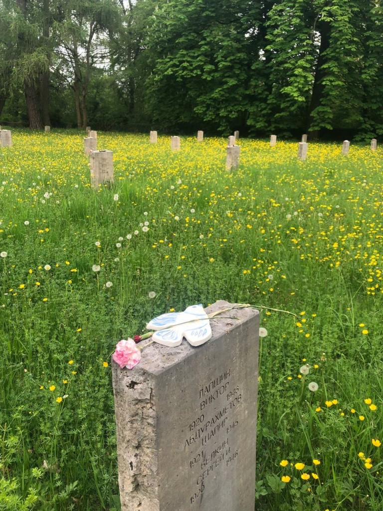 Friedenstauben statt Worte